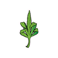 MIDDLE_LEAF