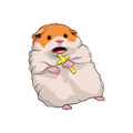 SCARED HAMSTER