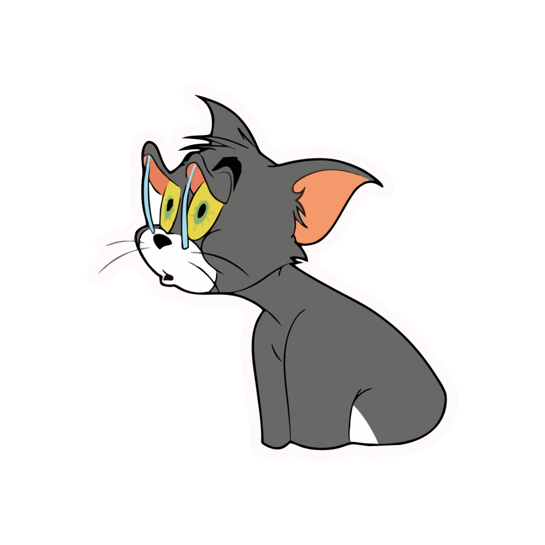 SLEPPY TOM