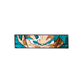 SUPER_SAIYAN_BLUE_VEGETA